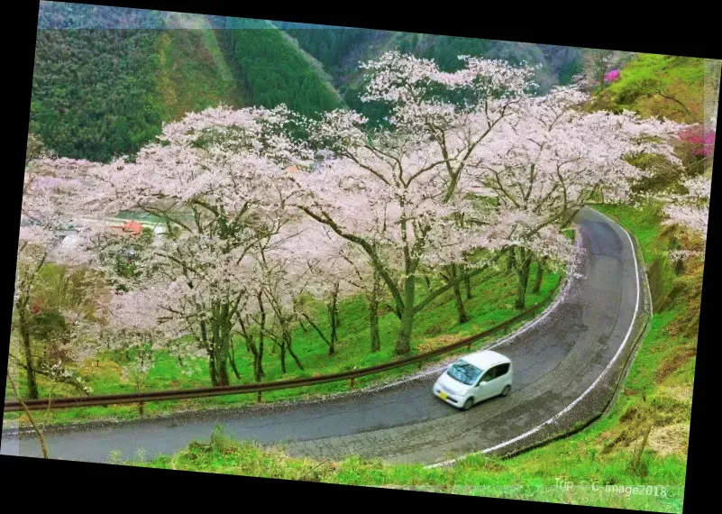 Noboribetsu Onsen Flower Tunnel