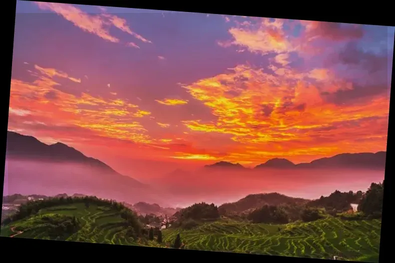 Yunhe Rice Terraces