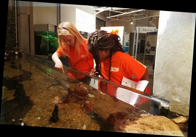 Alabama Aquarium at the Dauphin Island Sea Lab