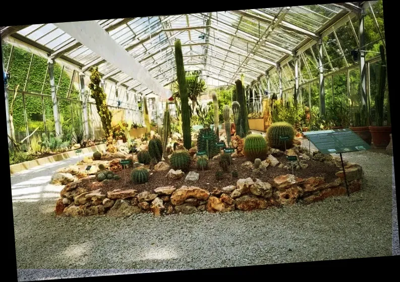 Botanical Garden and Museum