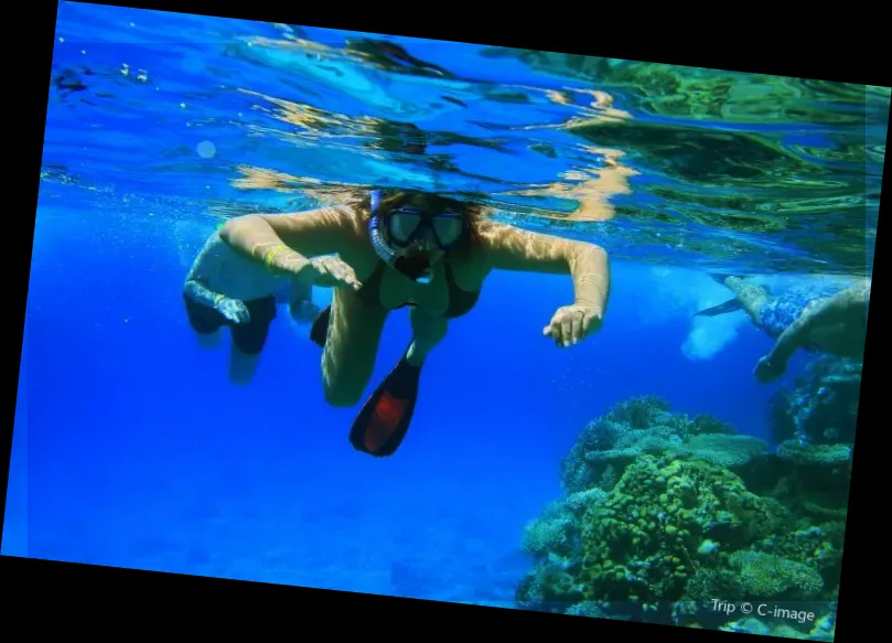 Diving Of Thousand-island Lake